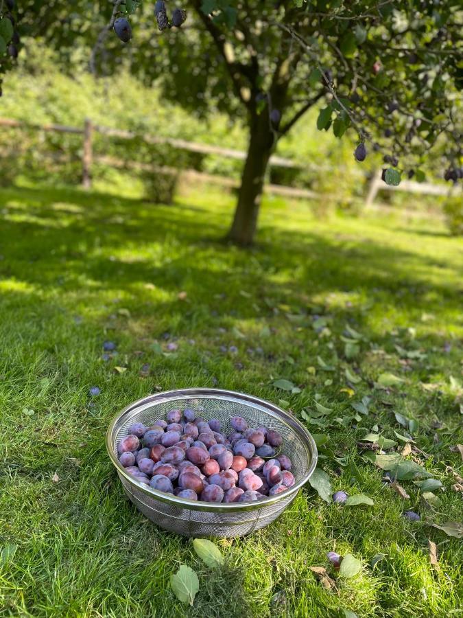 Klimatyczny Dom Kopaczowka Przytulna Miejscowka Z Kominkiem, Sauna I Ogrodem U Podnoza Gor Stolowych Radkow Ngoại thất bức ảnh